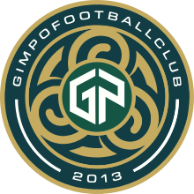 龙仁FC